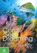 Coral Sea Dreaming: Awaken - wallpapers.