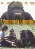 A Summer to Remember pictures.