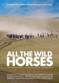 All the Wild Horses - wallpapers.