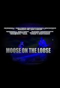 Moose on the Loose - wallpapers.