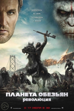 Dawn of the Planet of the Apes - wallpapers.