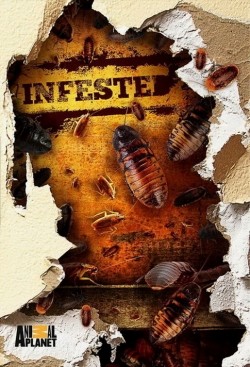 Infested! - wallpapers.