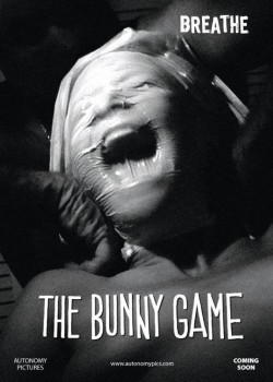 The Bunny Game - wallpapers.