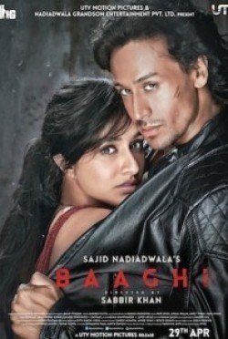 Baaghi pictures.