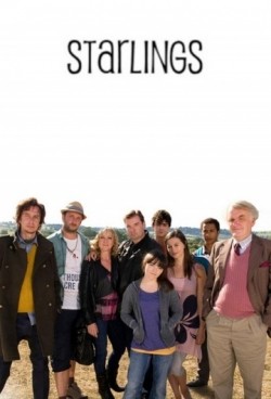 Starlings pictures.