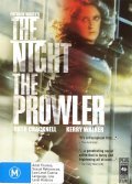 The Night, the Prowler - wallpapers.