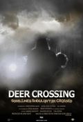 Deer Crossing pictures.