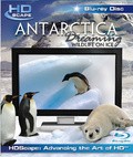 Antarctica Dreaming - WildLife On Ice - wallpapers.