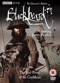 The Legend of Blackbeard pictures.