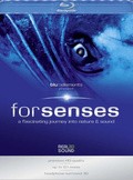 Blu::elements - Forsenses pictures.