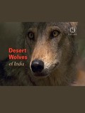 Desert Wolves of India pictures.