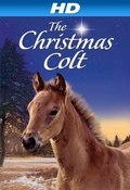 The Christmas Colt pictures.