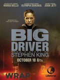 Big Driver pictures.