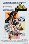 The Daring Dobermans pictures.