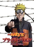 Gekijouban Naruto Shippuuden Movie 5: Blood Prison pictures.