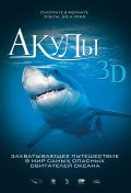 Sharks 3D pictures.