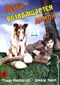 Lassie Come Home - wallpapers.