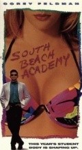 South Beach Academy - wallpapers.
