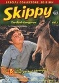 Skippy pictures.