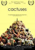 Cactuses - wallpapers.