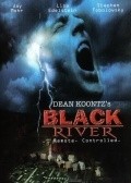 Black River pictures.