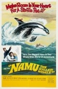 Namu, the Killer Whale - wallpapers.
