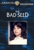The Bad Seed pictures.