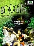 Mynaa pictures.