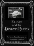 Elsie and the Brown Bunny - wallpapers.