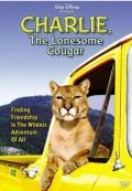 Charlie, the Lonesome Cougar - wallpapers.