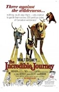 The Incredible Journey pictures.