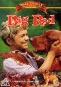 Big Red pictures.