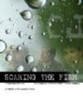 Scaring the Fish - wallpapers.