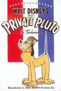 Private Pluto - wallpapers.
