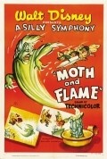 Moth and the Flame pictures.