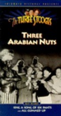 Three Arabian Nuts pictures.